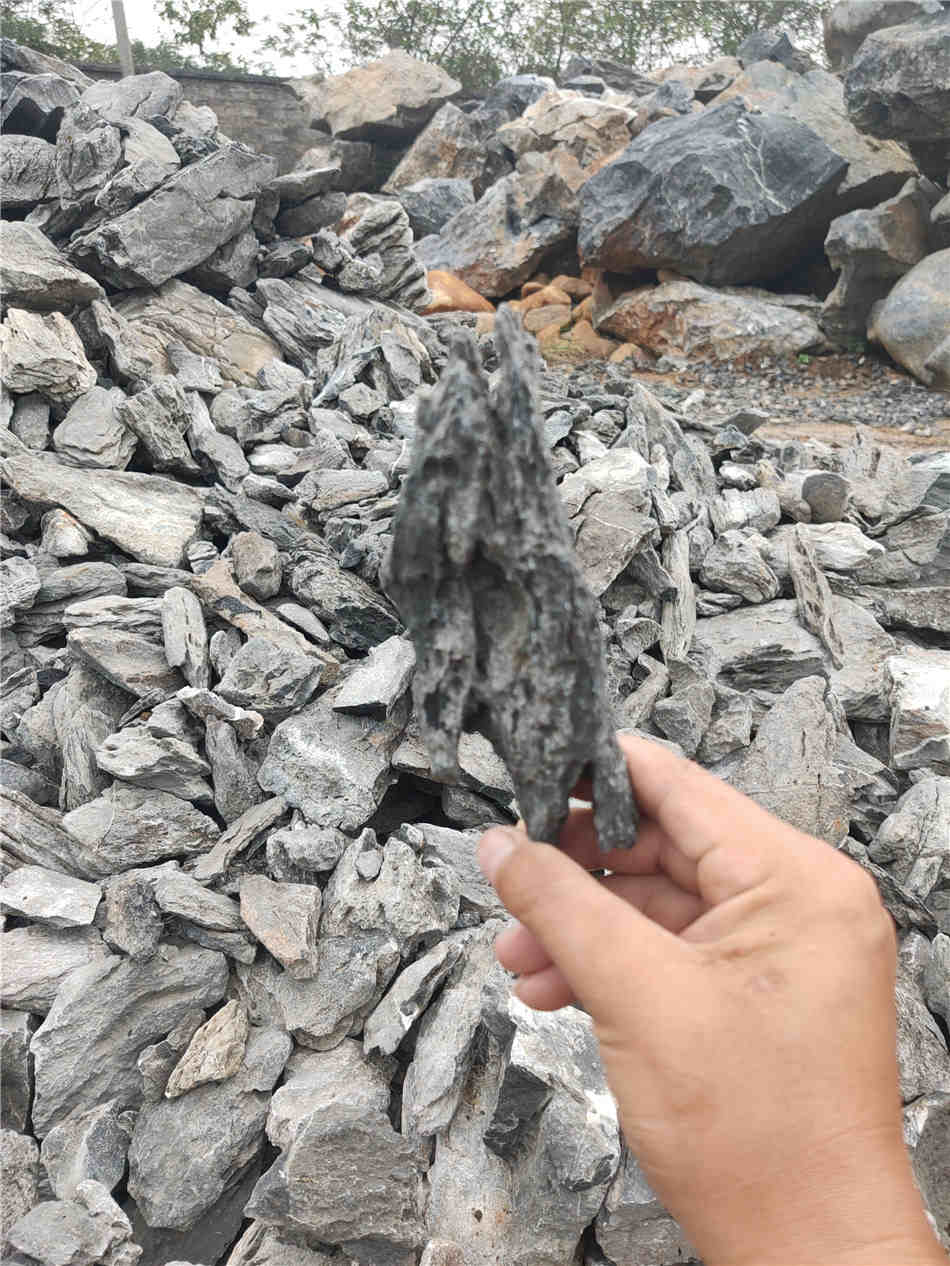 青龙石鱼缸造景石 英石水族馆用料 景缸盆景小型假山石
