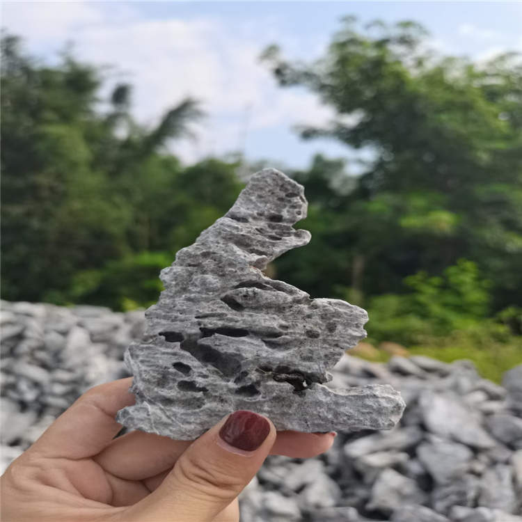 青龙石鱼缸造景石 英石水族馆用料 景缸盆景小型假山石