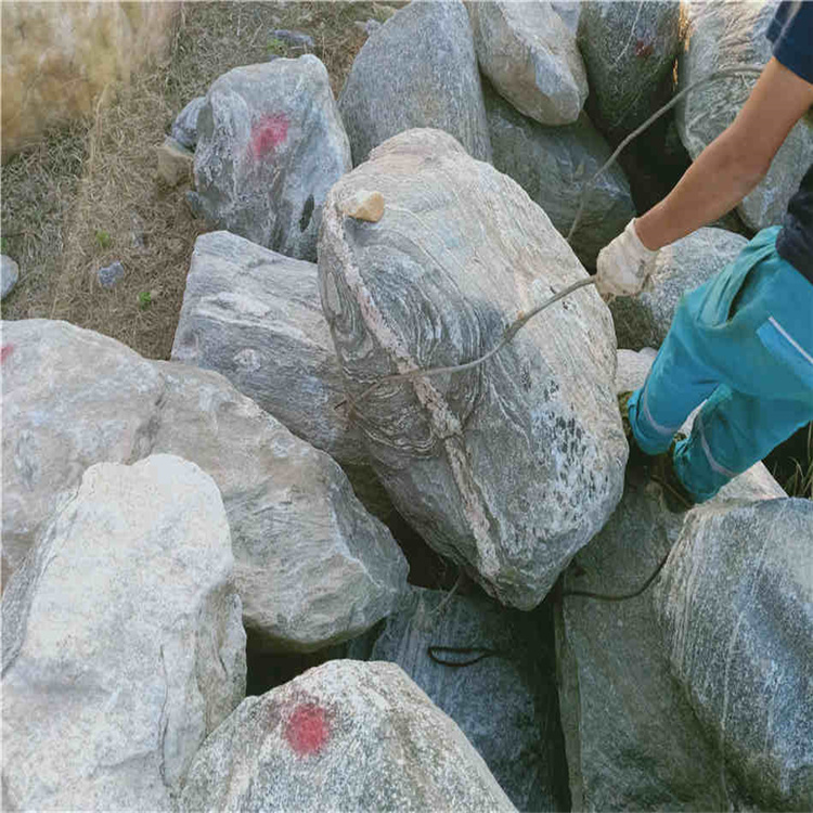 泰山石厂家景观石 公园环境造景石 庭院摆放风景泰山石
