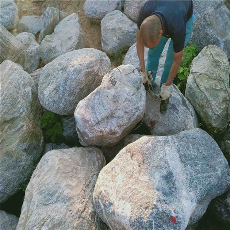 泰山石景观园林石 公园绿化石泰山石 庭院草坪造景观赏石