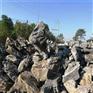 大英石原石假山石 景观英石批发基地 大英德石风景假山