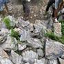 青龙石供应厂家 小型假山造景石 园林英石青龙石价格