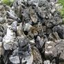 峰石造景庭院假山 园林英石山峰石 别墅地基假山制作石