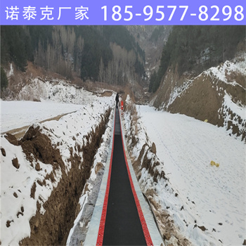 景区魔毯 滑雪场也可以使用的观光魔毯 滑雪场魔毯厂家  诺泰克