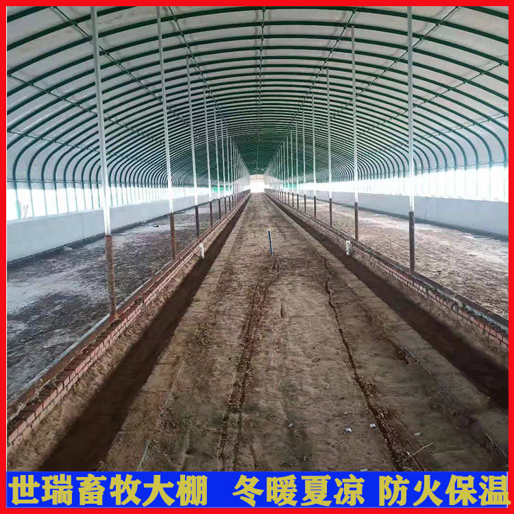 安装养牛大棚 养牛场牛舍建设 牛棚施工建设