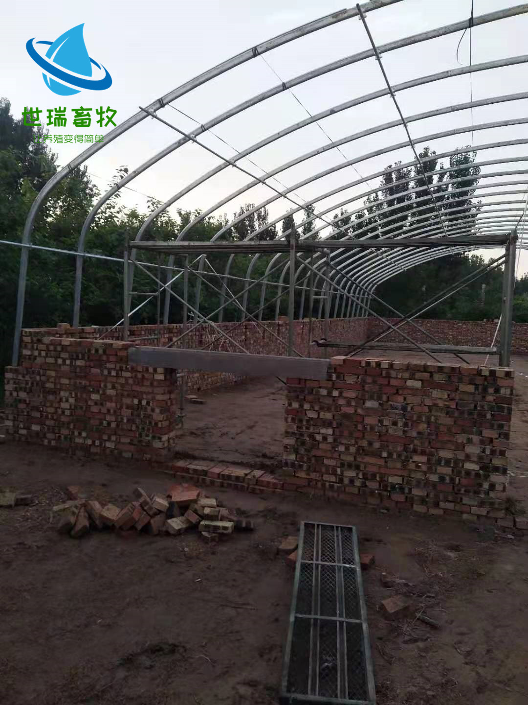 新型养猪大棚 养猪场猪舍搭建 养猪棚建设厂家