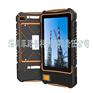 F301B防爆工业平板电脑