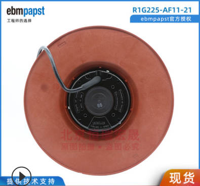 德国ebmpapst R1G225-AF11-21  空气净化器