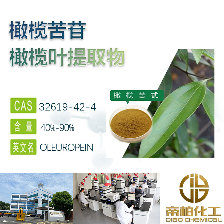 橄榄苦甙原料生产厂家 32619-42-4 橄榄叶提取物&nbsp;&nbsp;橄榄苦甙厂家