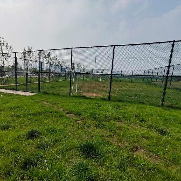 铜川市护栏网 篮球足球场护栏网 包塑勾花网围栏