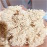 码头浮桥用木粉价格趋势 塑木用木粉的质量判断方法