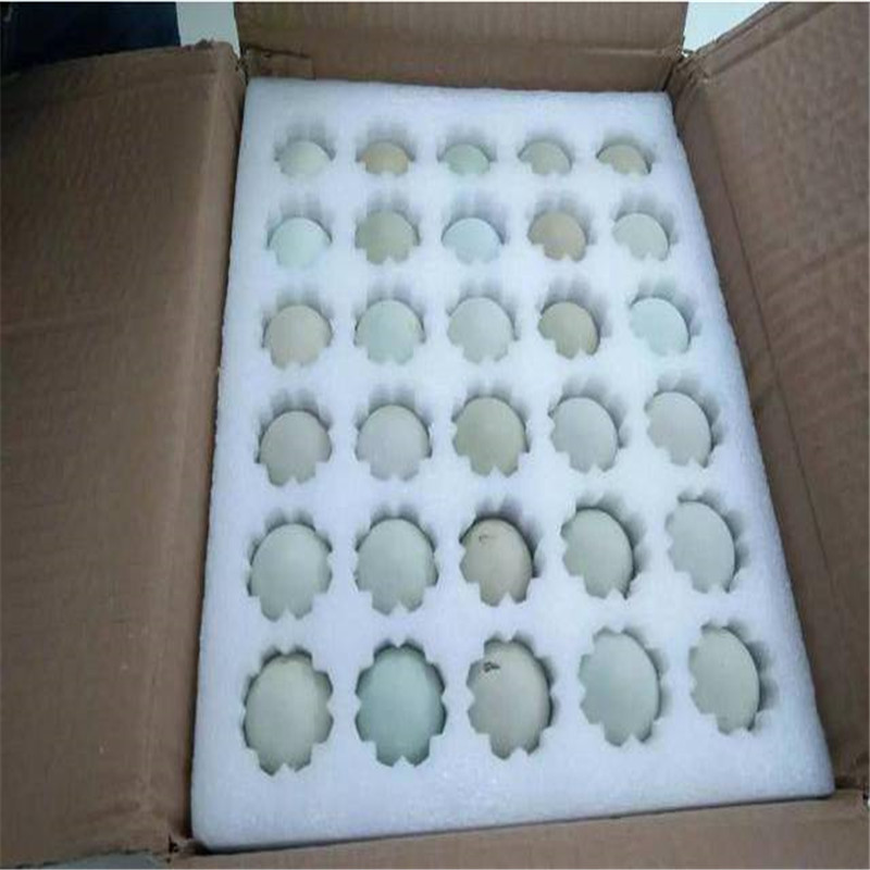 恒日厂家生产珍珠棉防水蛋托 30枚epe鸭蛋托 防散黄 品牌  珍珠棉防摔蛋托
