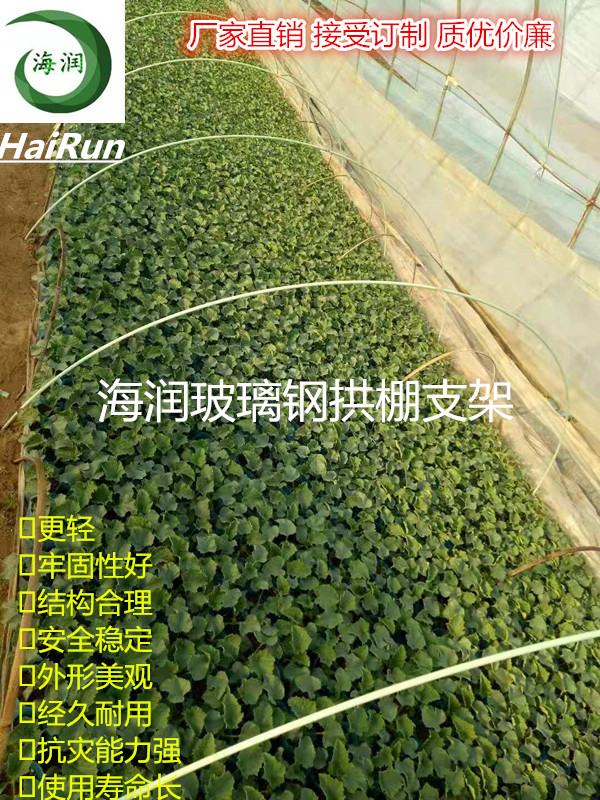 润泽定制纤维棒拱棚支架高强度耐腐蚀玻纤棒  苗木支撑杆  西瓜保温棚花棚杆  农用玻纤小拱棚支架