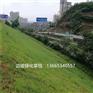 高强加筋毯 加筋防冲毯护坡 加筋防冲毯价格