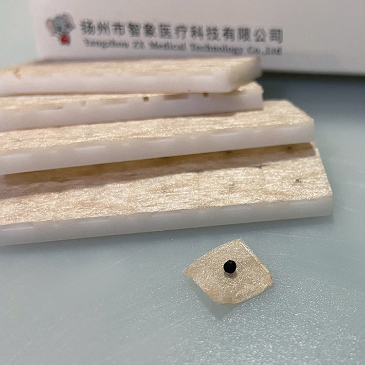 智象牌穴位压力刺激贴王不留行籽贴  压力贴  砭石贴  耳穴贴