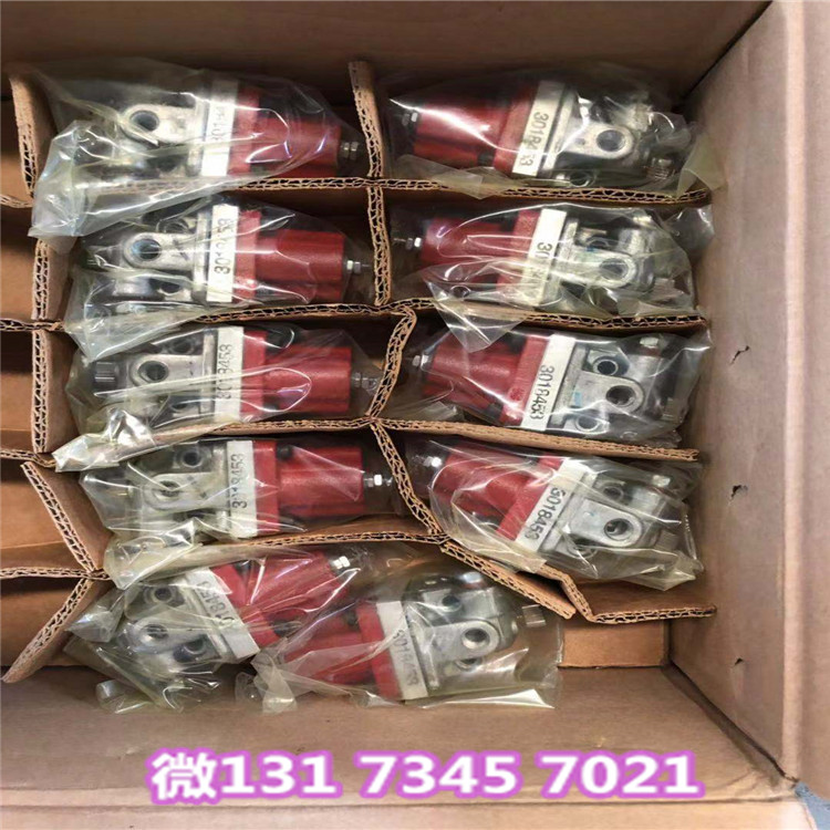 TR100中置洒水车24V电磁阀3096079墨西哥进口件