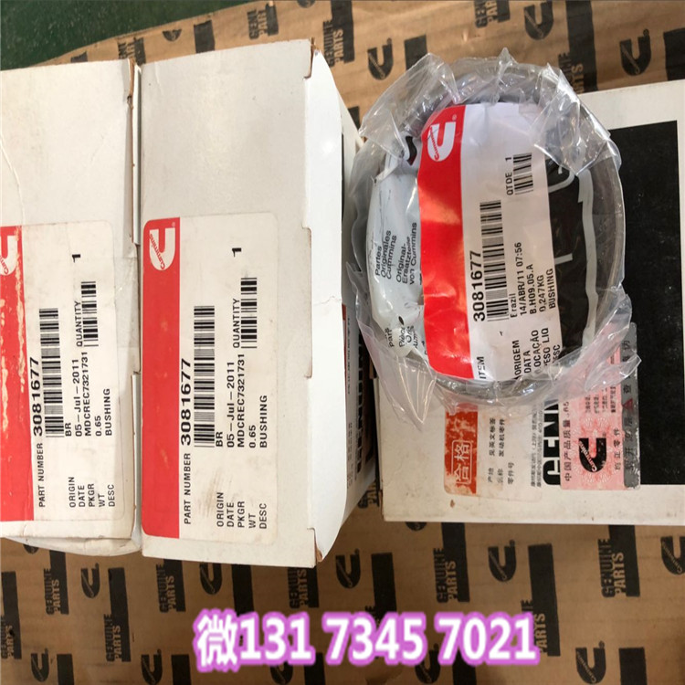 TR100中置洒水车24V电磁阀3096079墨西哥进口件