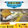 道路纵坡防滑耐磨地砖-山西芝麻纹全瓷盲道砖L