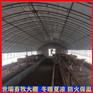 养牛棚施工设计 牛舍大棚建设方法 肉牛棚安装