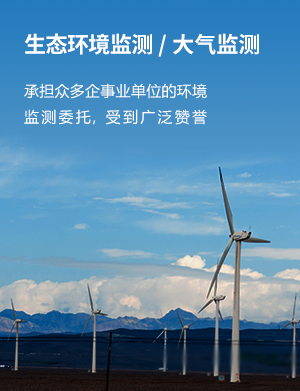 南通通州区臭气浓度 GB/T 14675检测  臭气浓度检测  臭气检测