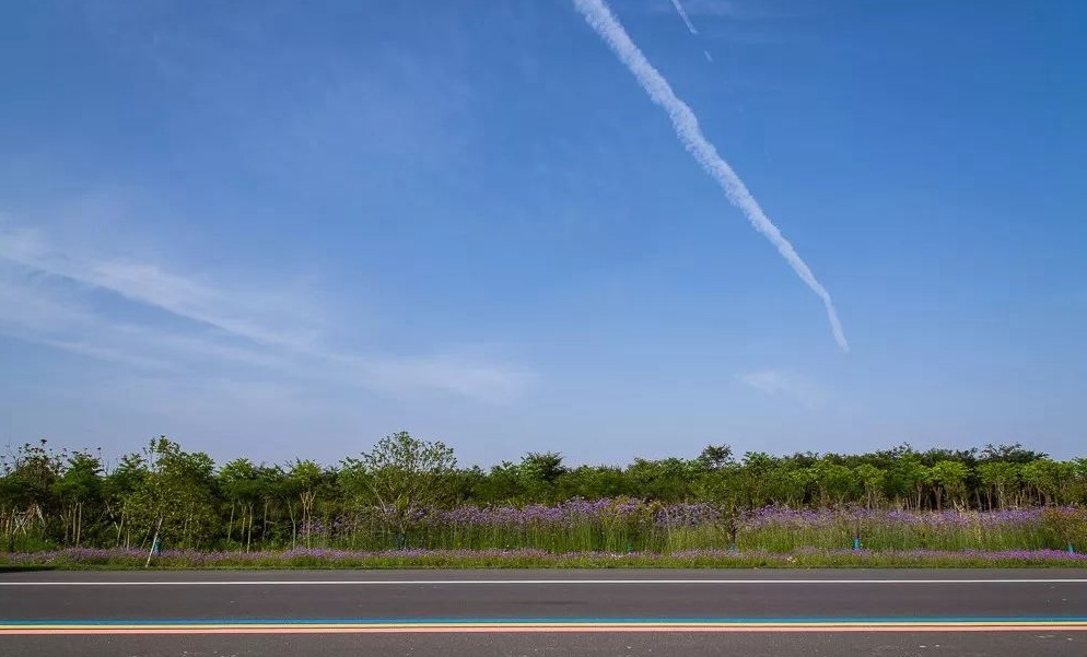 南京道路划线公司-南京达尊交通工程有限公司  南京厂区划线  南京停车场划线