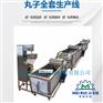 肉丸加工流水线 全自动鱼丸生产线 实心丸子成型机