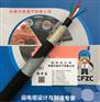 计轴电缆WDZB-PJZL23-8芯/安徽天缆电气有限公司