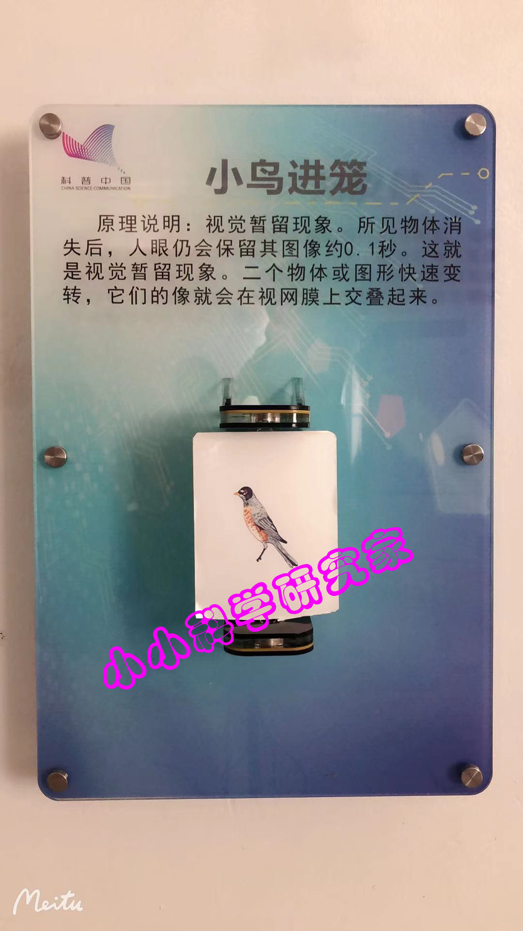 光学系列 墙壁挂式科技馆（墙面科普） 进口桦木科普  科技馆展品  活动中心  社区科普体验馆