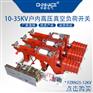 华册户内交流高压真空负荷开关FZRN25-12D手合电动