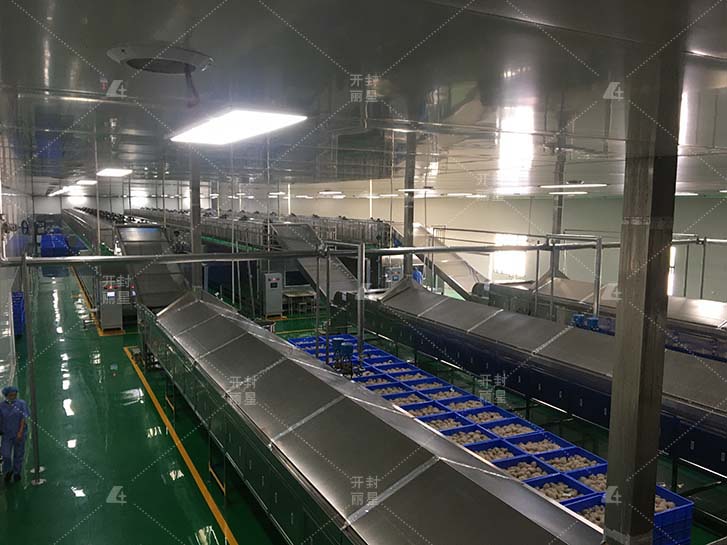自动化马铃薯粉条加工设备，丽星粉丝生产线工艺特点  红薯粉条生产线  水晶粉丝机