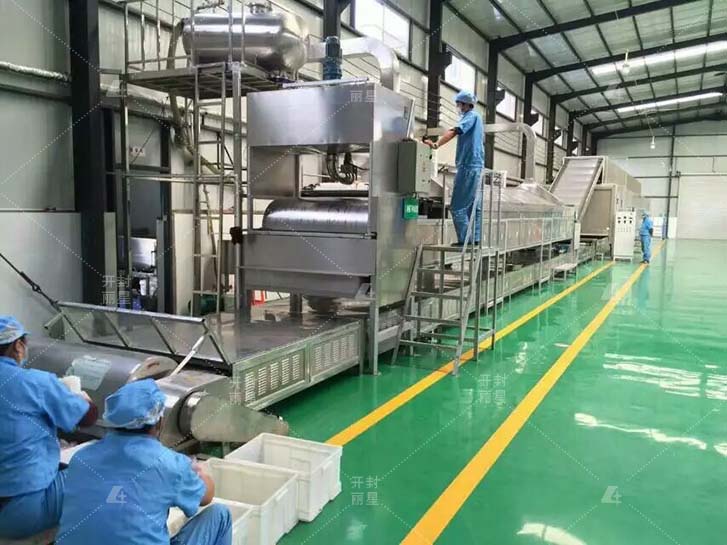 不使用明矾的粉丝生产线，丽星免晾晒粉条设备工艺解析  粉条加工设备  红薯粉条机