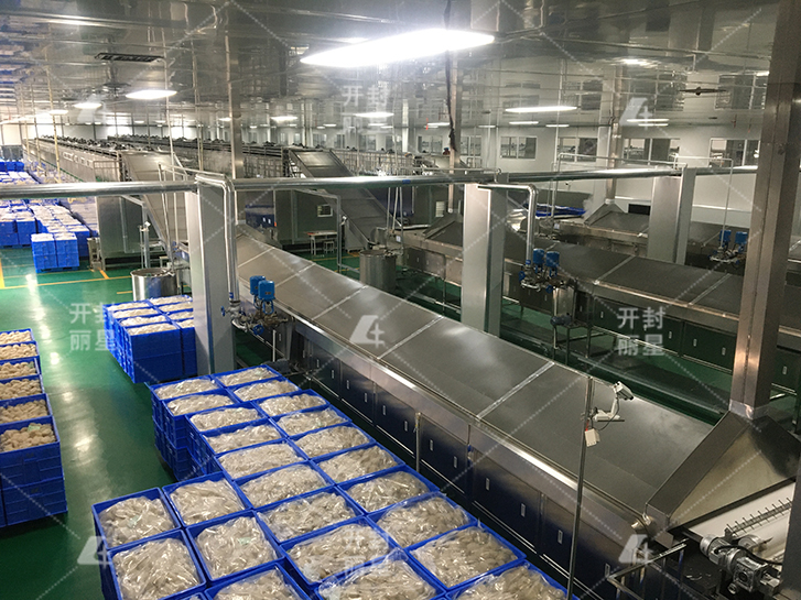 粉条机自动化设备制造商，丽星红薯粉条机常见故障排除  粉条加工设备
