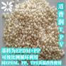 水乐园耐氯水泡TPV弹性砖