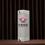 钢制柱型水暖散热器 GZ506 冀州钢五柱散热器