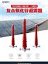 YH10WZ-192-500  HY10WZ-192-500