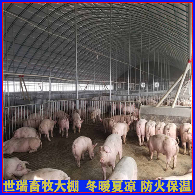 新式养猪大棚搭建 养猪棚建设方法 猪舍大棚安装成本