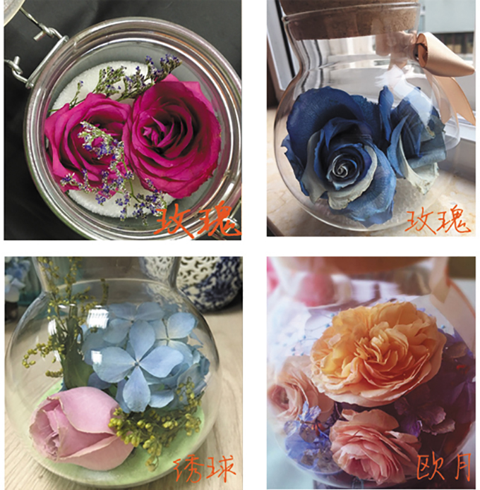 DIY手工制作干花鲜花干燥剂硅胶粉