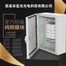 语音分线箱室内大对数通信电缆交接箱壁挂科龙模块
