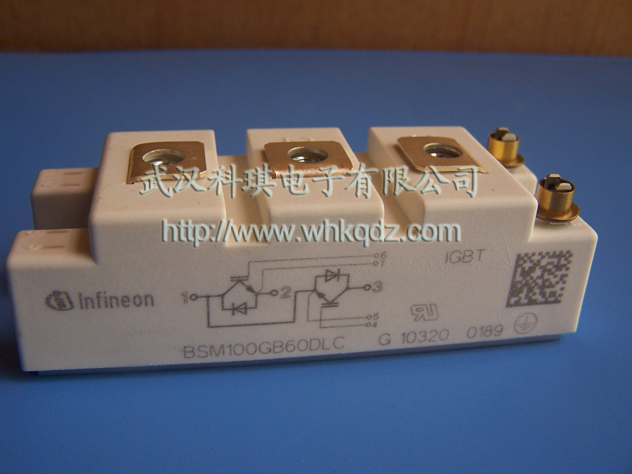 IGBT模块BSM100GB60DLC