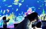 神笔画画 3D海洋馆  全息互动投影