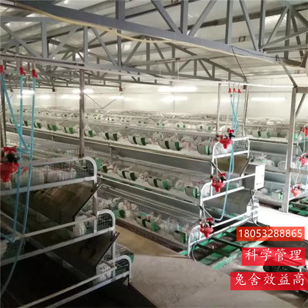 养兔子设备兔笼子 三层养商品兔笼具