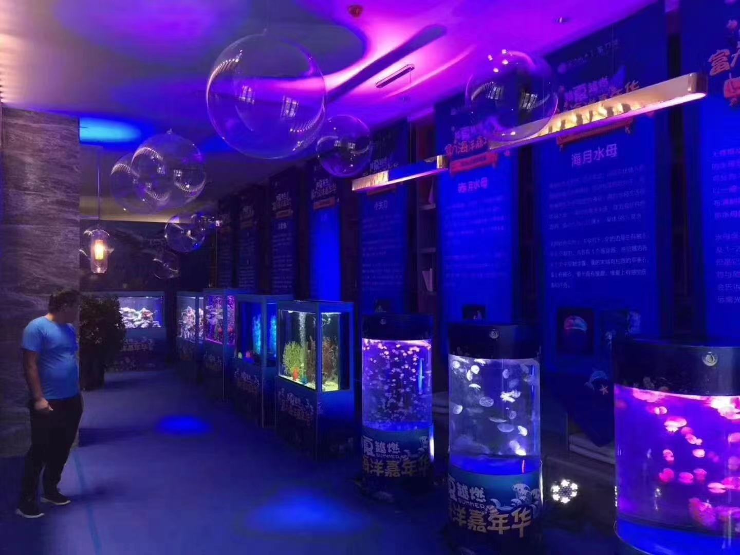 海洋生物展览鱼缸展览专业承接 水母展览