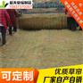 稻夫 草帘 草帘编织 草帘 生产厂家 整车发货