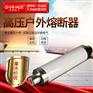 华册XRNT1-3-6KV陶瓷高压限流熔断器200-250A