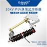 高压跌落式熔断器RW11-10F/100A-200A带灭弧罩