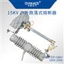 华册RW12-15F陶瓷户外高压跌落式熔断器带防风灭弧罩