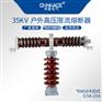 华册RW10-35G高压T型限流熔断器卡扣式0.5A-25A