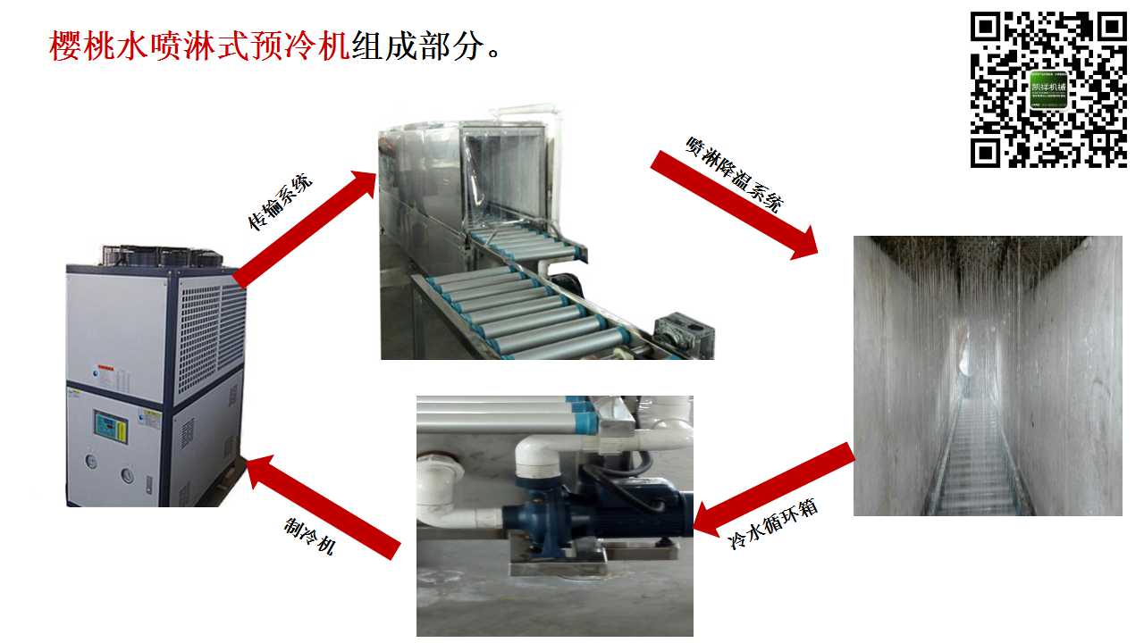 大樱桃降温设备  樱桃预冷机  樱桃水冷机  樱桃水预冷机