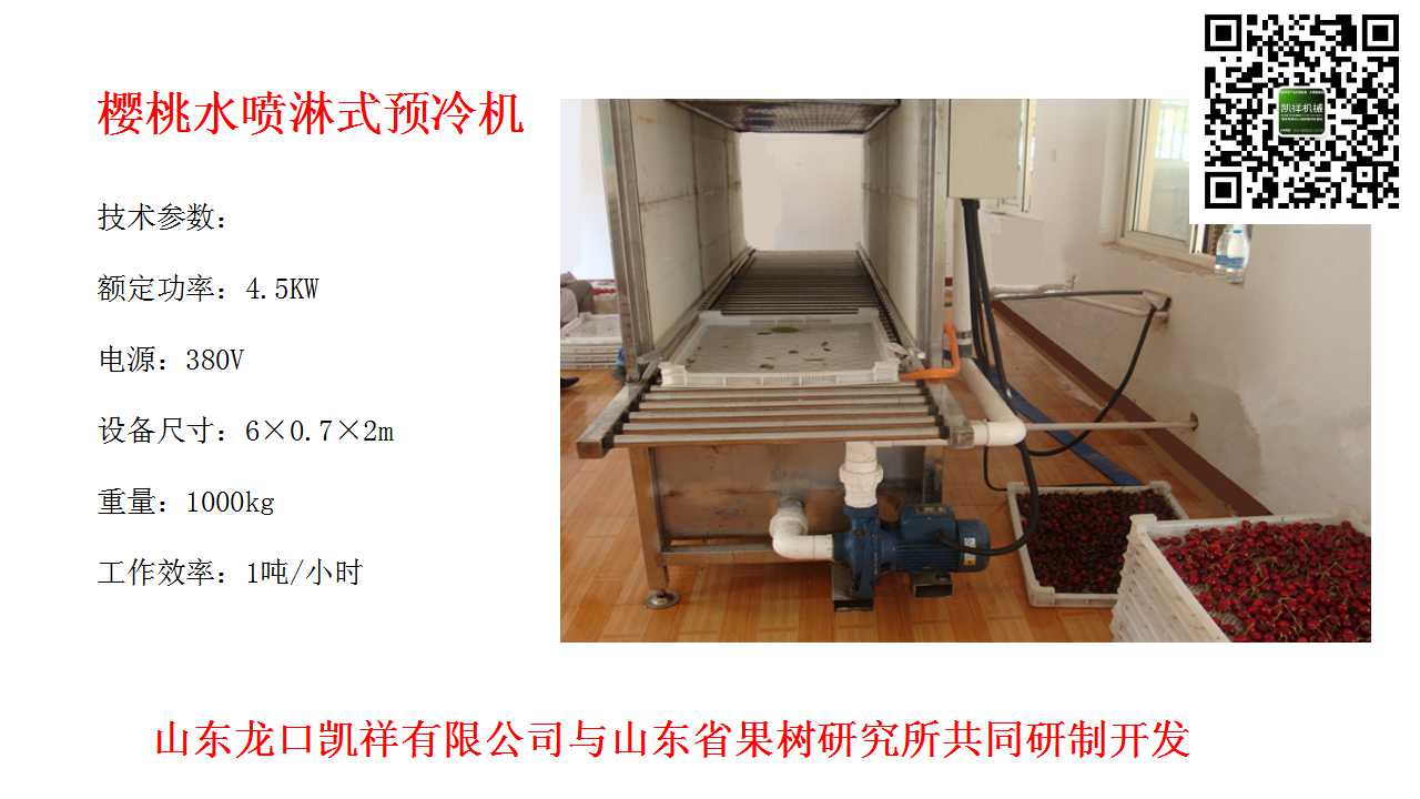 大樱桃降温设备  樱桃预冷机  樱桃水冷机  樱桃水预冷机