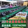 漳州红薯分选机使用效果怎么样